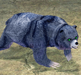 (困難)藍灰熊 怪物永久連結