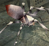 (困難)巨大白蜘蛛 怪物永久連結