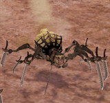硫磺蜘蛛 怪物永久連結