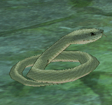 (困難)綠蛇 怪物永久連結