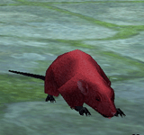 (困難)紅鼠 怪物永久連結