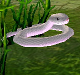 白毒蛇 怪物永久連結