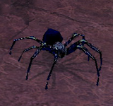 (困難)綻藍蜘蛛 怪物永久連結