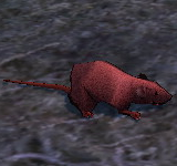 紅老鼠 怪物永久連結