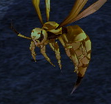 巨大雌性黃蜂 怪物永久連結