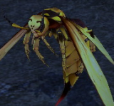 巨大黃蜂女王 怪物永久連結