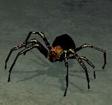 黑蜘蛛 怪物永久連結