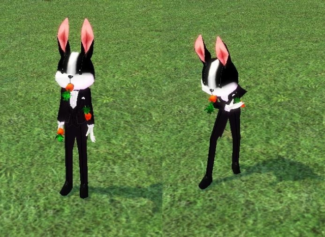 兔子紳士(?