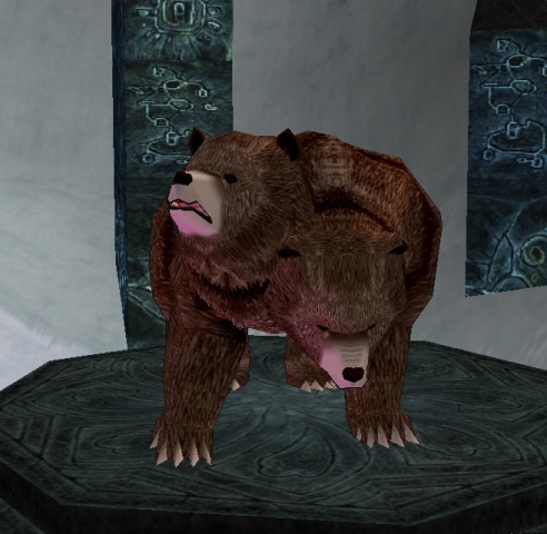 雙頭熊欸