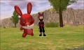 可愛的紅色兔子一v一